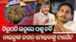 Animal Fat In Tirupati Laddu  Prasadam Lab Report [upl. by Acirrehs491]