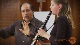 Clarinet lessons with Neidich Mozart clarinet Concerto Play With a Pro [upl. by Tesler]