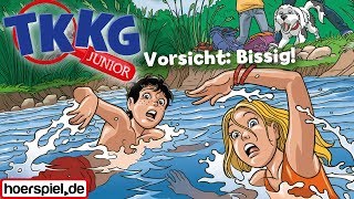 TKKG Junior  Folge 2 Vorsicht bissig [upl. by Yrebmik535]