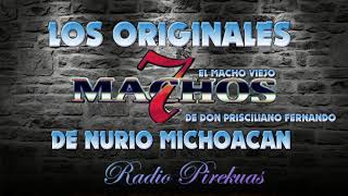 7 Machos de Nurio Michoacan 2018 [upl. by Tarah]