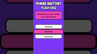 Human Anatomy Flash Quiz 3 wordtrivia quiz flashquiz [upl. by Nehte340]