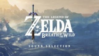 Attack on Vah Rudania  The Legend of Zelda Breath of the Wild OST [upl. by Shafer]