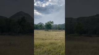 The American Prairie  Medora North Dakota adventure nationalpark edclifestyle [upl. by Nadabas]