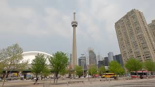 Toronto Downtown Waterfront Walk  CANADA 🇨🇦 Travel vlog [upl. by Starling]