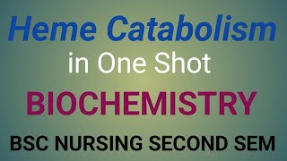 Unit  Heme Catabolism in Biochemistry [upl. by Llerred]