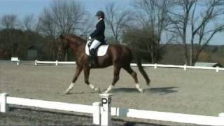 Wizard WF USDF 4 Year Old Test 102310 [upl. by Pyne11]