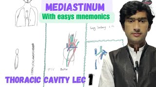 Mediastinum anatomy with mnemonics by Medexplora zawar yousafzai [upl. by Ingamar233]