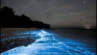 Maldives Beach Looks Like Starry Night Sky HD 2024 HD [upl. by Akelahs]