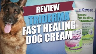 Triderma Fast Healing Dog Cream Review [upl. by Olva]