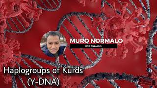 Haplogroups of Kurds YDNA [upl. by Baxie131]