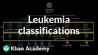 Leukemia classifications  Hematologic System Diseases  NCLEXRN  Khan Academy [upl. by Clive]