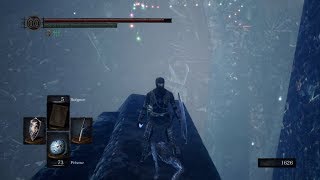 DARK SOULS REMASTERED  Blue Titanite Slab location [upl. by Atla]