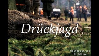 Drückjagd im Wilden Osten  Unterwegs mit den Hunter Brothers Teil 12 [upl. by Koerner]