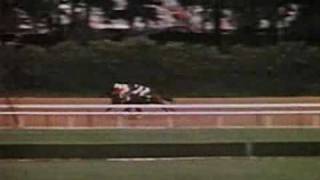 Ruffian vs Foolish Pleasure  The Great Match 1975 [upl. by Asi]