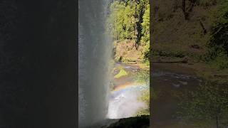 Walking behind a raging waterfall in Silver Falls State Park hiking nature shorts [upl. by Rehtnug]