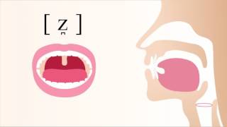 z̪  voiced laminal dental sibilant fricative [upl. by Marinna]