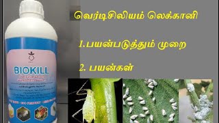 Verticillium lecanii  Omega Ecotech வெர்டிசிலியம் லெக்கானி [upl. by Ynomrah]