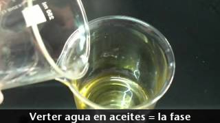 Como hacer una crema casera Cosmetica Natural Casera Shop [upl. by Yaf]