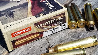 Norma Whitetail 7mm Rem Mag  100 Yard Group Test [upl. by Lindie]