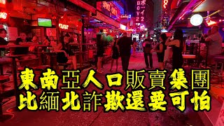 東南亞人口販賣集團比緬北詐欺還要可怕，上百萬人失蹤跟他們有關 [upl. by Oniuqa155]