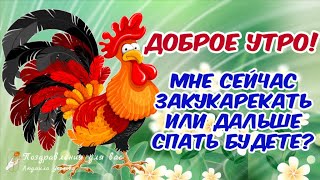 ☕️🍬 Бодренького утречка Лучшие пожелания Доброго Утра и Чудесного Дня Утренний позитив для друзей [upl. by Amluz]