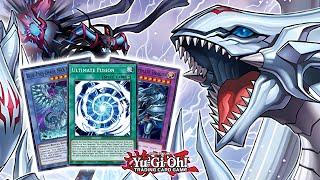 BlueEyes Can FINALLY Summon Dragon Magia Master With These NEW Cards YuGiOh [upl. by Etnuahs]