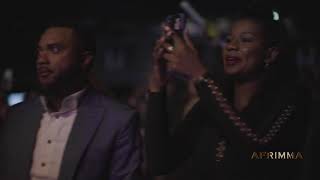 Fally Ipupa Afrimma Performance Highlights 2019 [upl. by Davita]