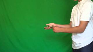 Balisong Tutorial Reverse Grip Aerial Beginner [upl. by Jerroll481]