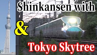 【Great Collaboration】Tohoku Shinkansen which normally runs at high speed amp Tokyo Skytree [upl. by Alekehs]