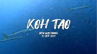 스쿠버여행  태국 꼬따오 2024년9월  Scuba trip to Koh Tao Thailand SEP 2024 [upl. by Vito]