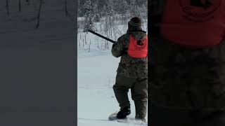 Chasse au lagopède dans le grand nord Partie 1 chasseur pêche fusils animaux nature conseil [upl. by Macy439]