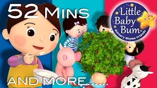 Little Baby Bum  Here We Go Round The Mulberry Bush  Nursery Rhymes for Babies  Songs for Kids [upl. by Notsuh271]