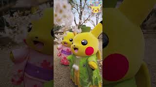 Pokémon Shorts  Kimono Pikachu PART1 [upl. by Khai]