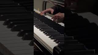 Chopin’s newly discovered waltz with experimental ornaments Bechstein A175 chopinwaltz [upl. by Oigufer]