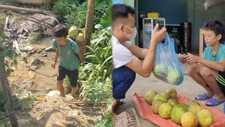 The boy went to his aunts house to ask to pick grapefruit to sell [upl. by Enajharas]