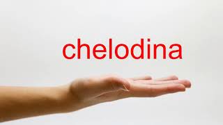 How to Pronounce chelodina  American English [upl. by Beaston]