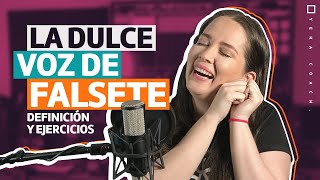 VOZ DE FALSETE TÉCNICA VOCAL  CÓMO CANTAR NOTAS ALTAS  EJERCICIOS TIPS Y CONSEJOS [upl. by Grati]