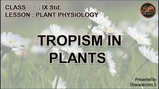 Movements in Plants  Tropism in plants  Plant Physiology for class 9 in tamil [upl. by Drue]