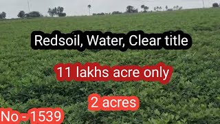 11 lakhs acre only 2 acresRedsoil Water Clear title No  1539 [upl. by Nortal]