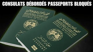 Renouvellement de passeports  les sites de prise de RDV des consulats algériens inopérants [upl. by Esinal]