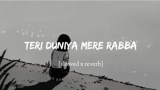 Teri Duniya Mere Rabba slowed x reverb Kahin Deep Jaley ost  Shahir Ali Bagga [upl. by Jephthah]