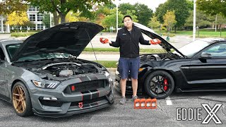 Is The Shelby GT350 Reliable [upl. by Funch]