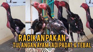 TULANGAN AYAM JADI PADAT amp TEBAL SEJAK DINI  Racikan pakan Ayam ajaib Untuk ayam Kesayangan [upl. by Desmund]