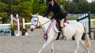 GHHJA Horse Show Vlog Pony Medal Final amp 1000 Hunter Derby GSWEC [upl. by Nagey805]