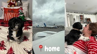 home for the holidays  vlogmas day 20 [upl. by Kacey]