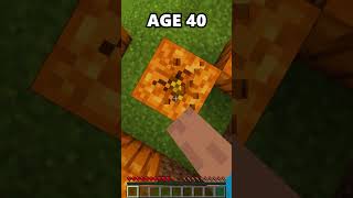 Minecraft Bases at Different Ages🤯 [upl. by Lilaj]