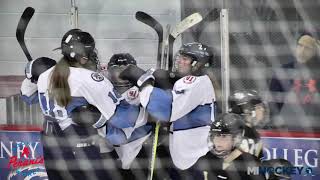 2019 MAHA 19U Tier 2 girls state championship  Petoskey Northmen vs HB Hockey [upl. by Evalyn35]