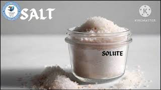 Topic Solvent Solute and Solution  Science  6th video viralvideo [upl. by Akinoj]