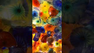 Amazing Colors in This Chihuly Ceiling [upl. by Juna]