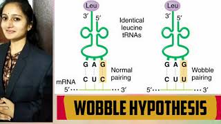 Wobble hypothesis tRna by Bhargavi kola [upl. by Idoc]